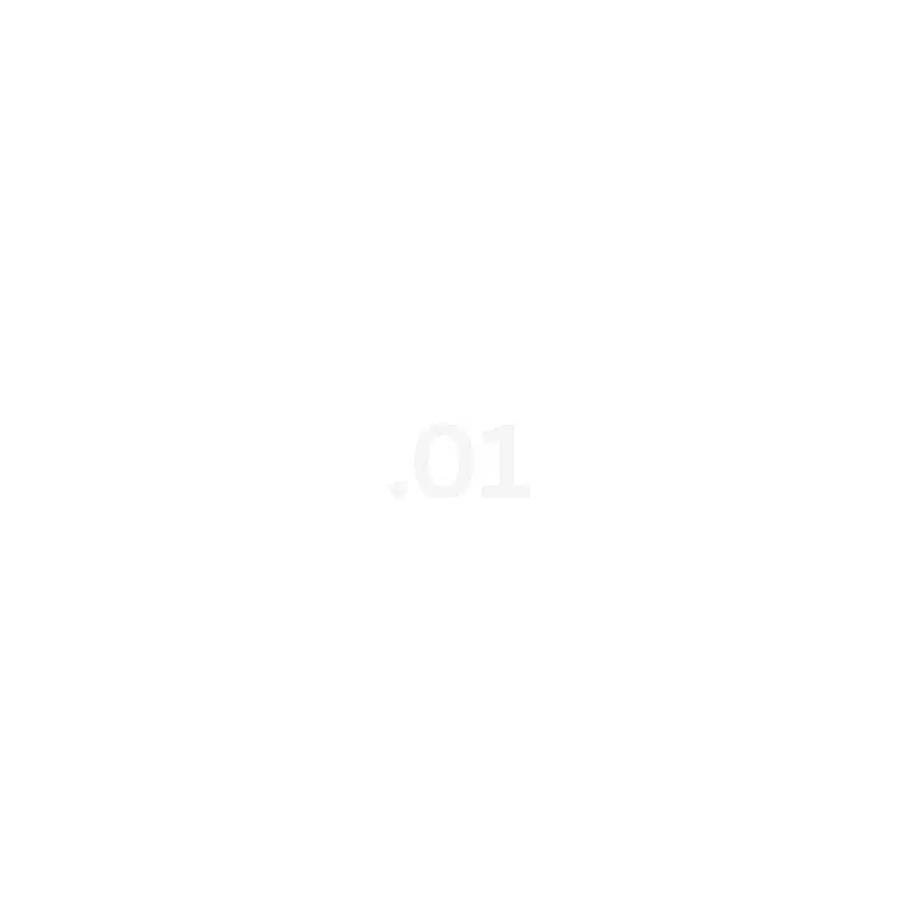 demo.01