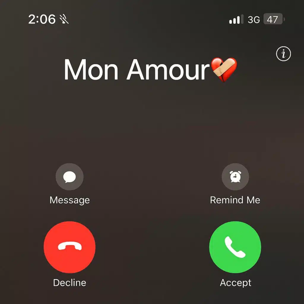 Mon Amour (feat. Radwan)