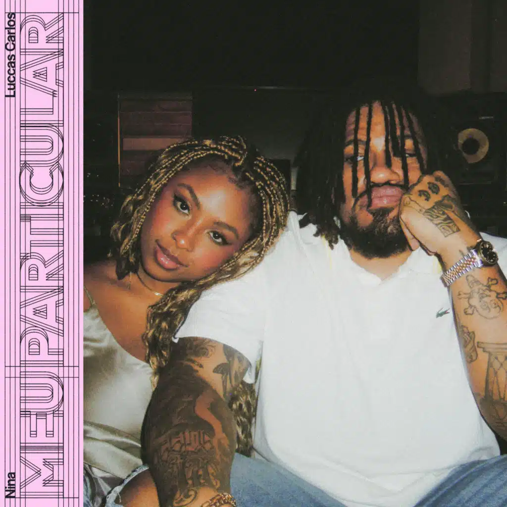 meu particular (remix)