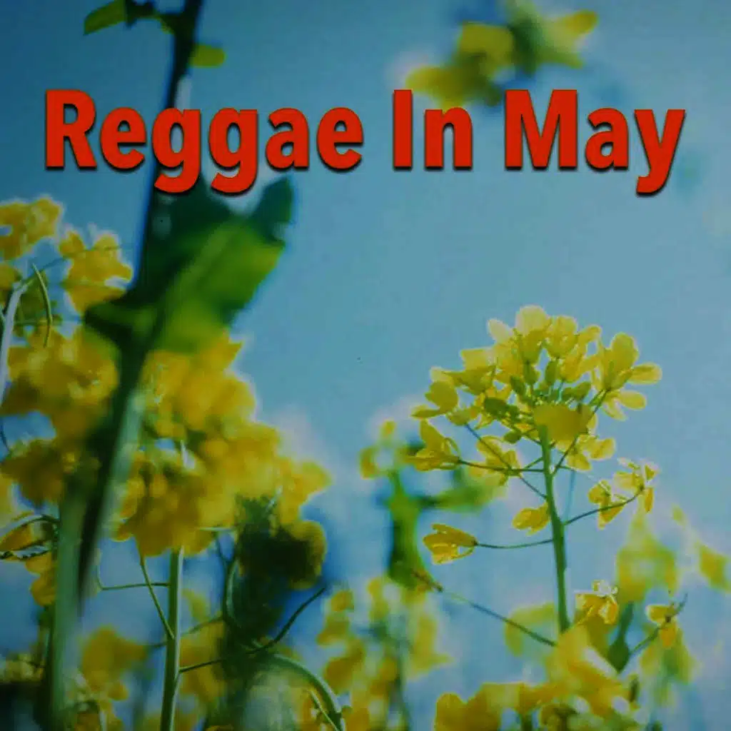 Reggae In May