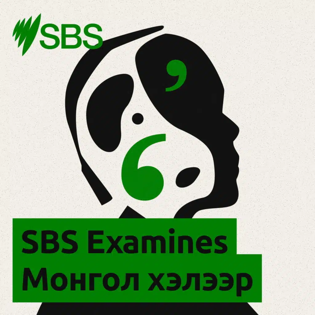 Census 2026: Why does the government ask these questions, and what happens to my personal details? - SBS Examines: Тооллого 2026: Таны мэдээллийг яагаад цуглуулдаг, хэрхэн хамгаалдаг вэ?