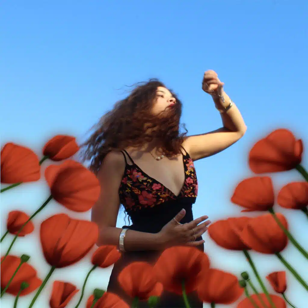 Poppy Fields