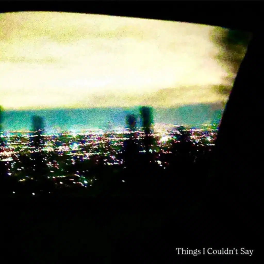 Things I Couldn't Say