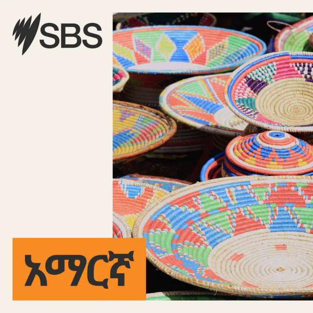 የሕዝብ ቆጠራ 2026፤ ዕለተ ቀኑ መቼ ነው? ተቆጣሪዎች እነማን ናቸው? ፋይዳውስ ምንድን ነው?