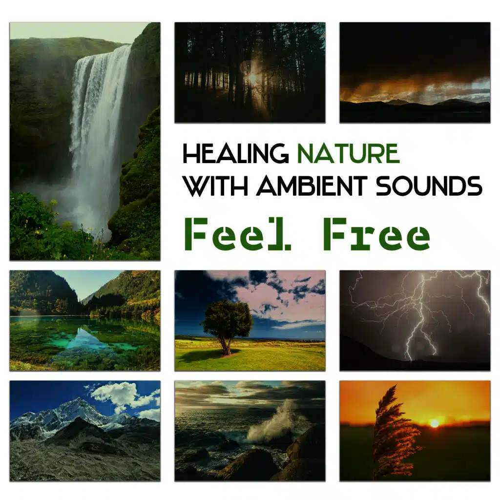 Healing Nature with Ambient Sounds: Feel Free, Harmony Inside, Reduce Stress with Best Relaxing Music, Serene Sounds of Rain, Sleep Noise, Healthy Tropical Forest, Just Calm Your Mind