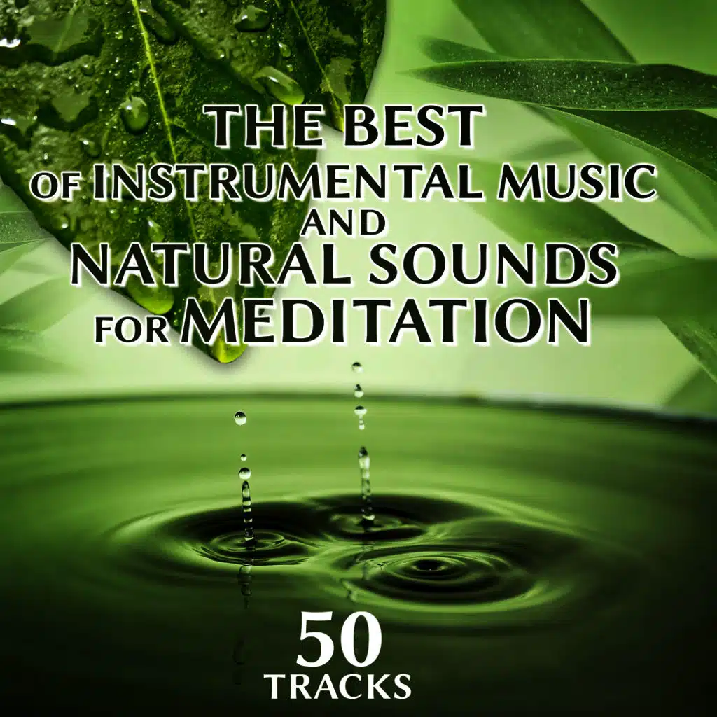 The Art of Meditation (Ocean Waves)