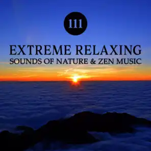 111 Extreme Relaxing Sounds of Nature & Zen Music - Insomnia Cure, Stress Management, Perfect Background for Meditation, Yoga and Massage