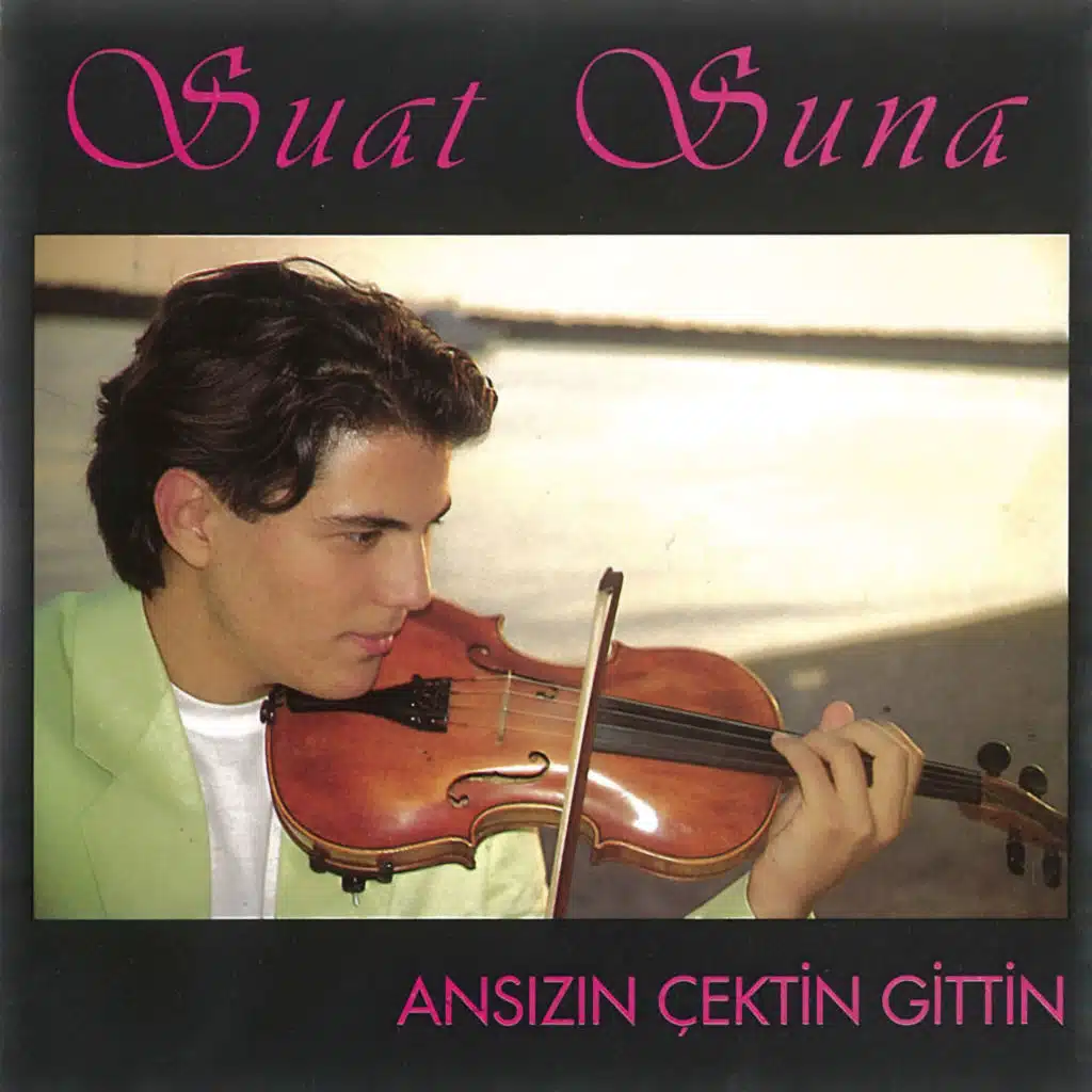 Ansızın Çektin Gittin