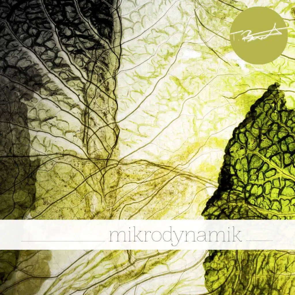 Mikrodynamik