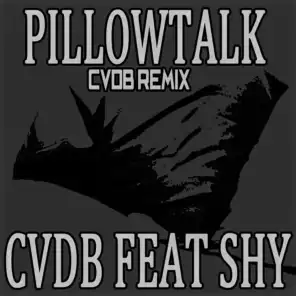 Pillowtalk (Cvdb Remix) [ft. Shy]