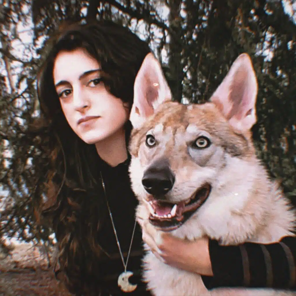 The Last Wolf