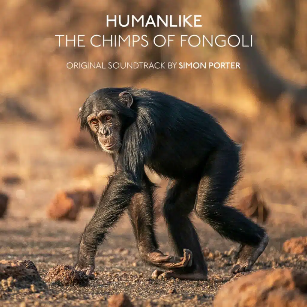 Humanlike The Chimps Of Fongoli (Music from the Original Documentary)