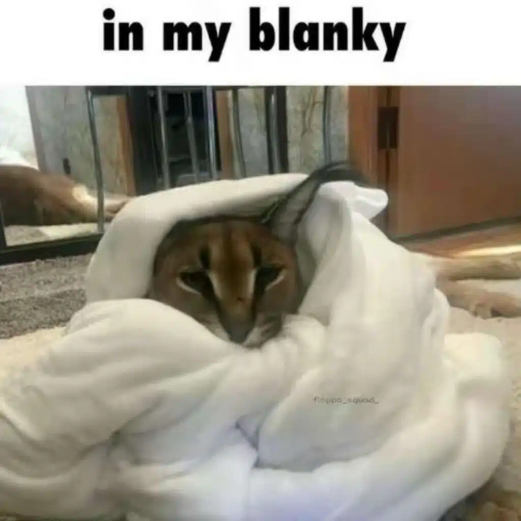 Wake Up!