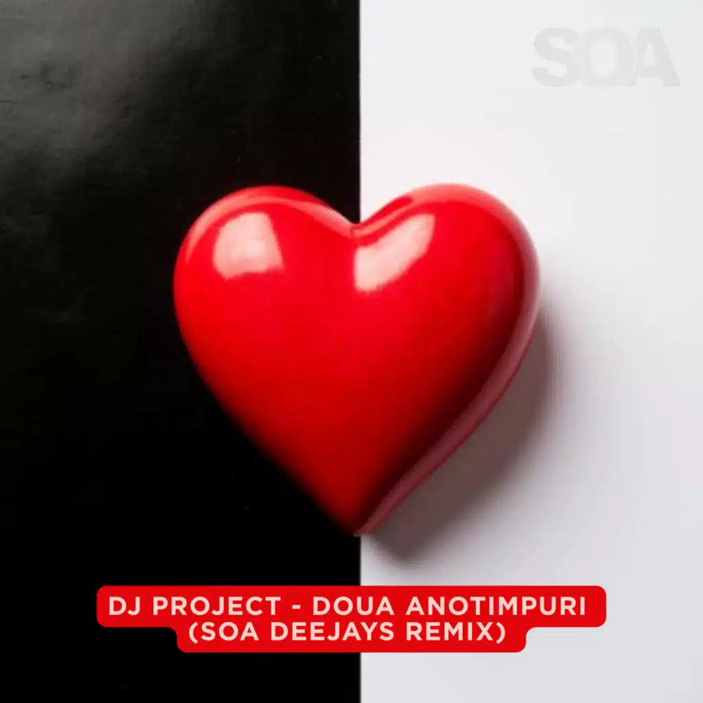 Doua Anotimpuri (SOA Deejays Remix)