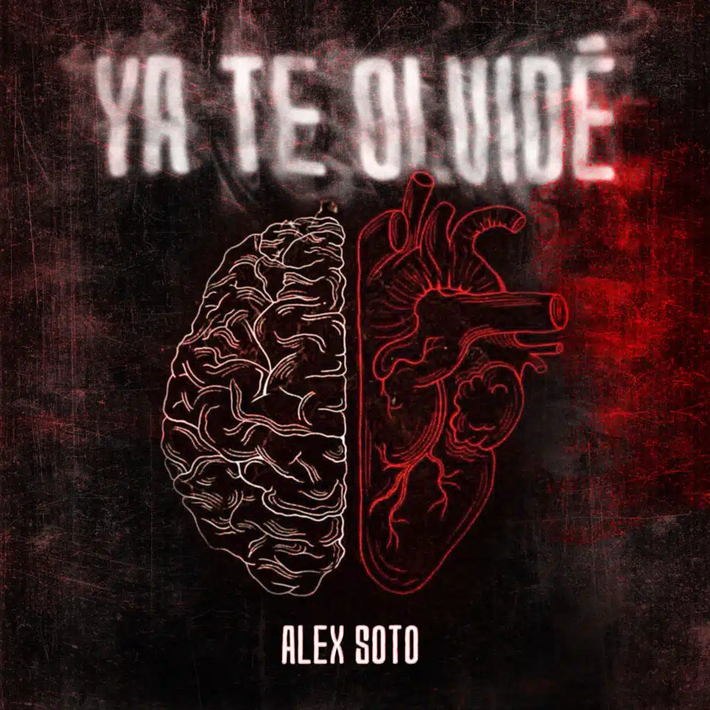 Ya te olvide