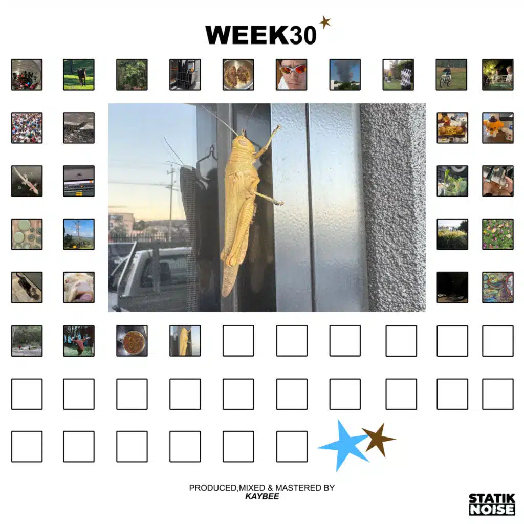 WEEK30