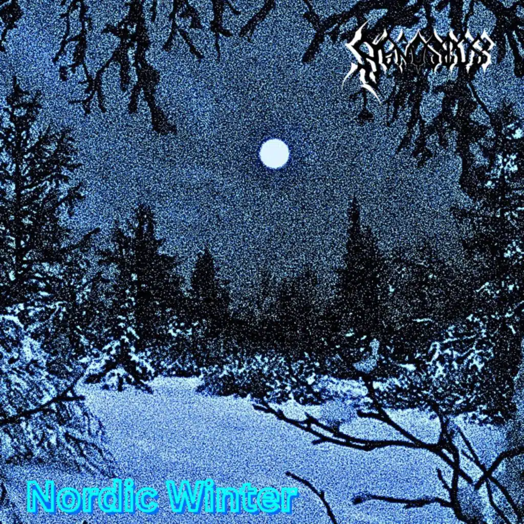 Nordic Winter