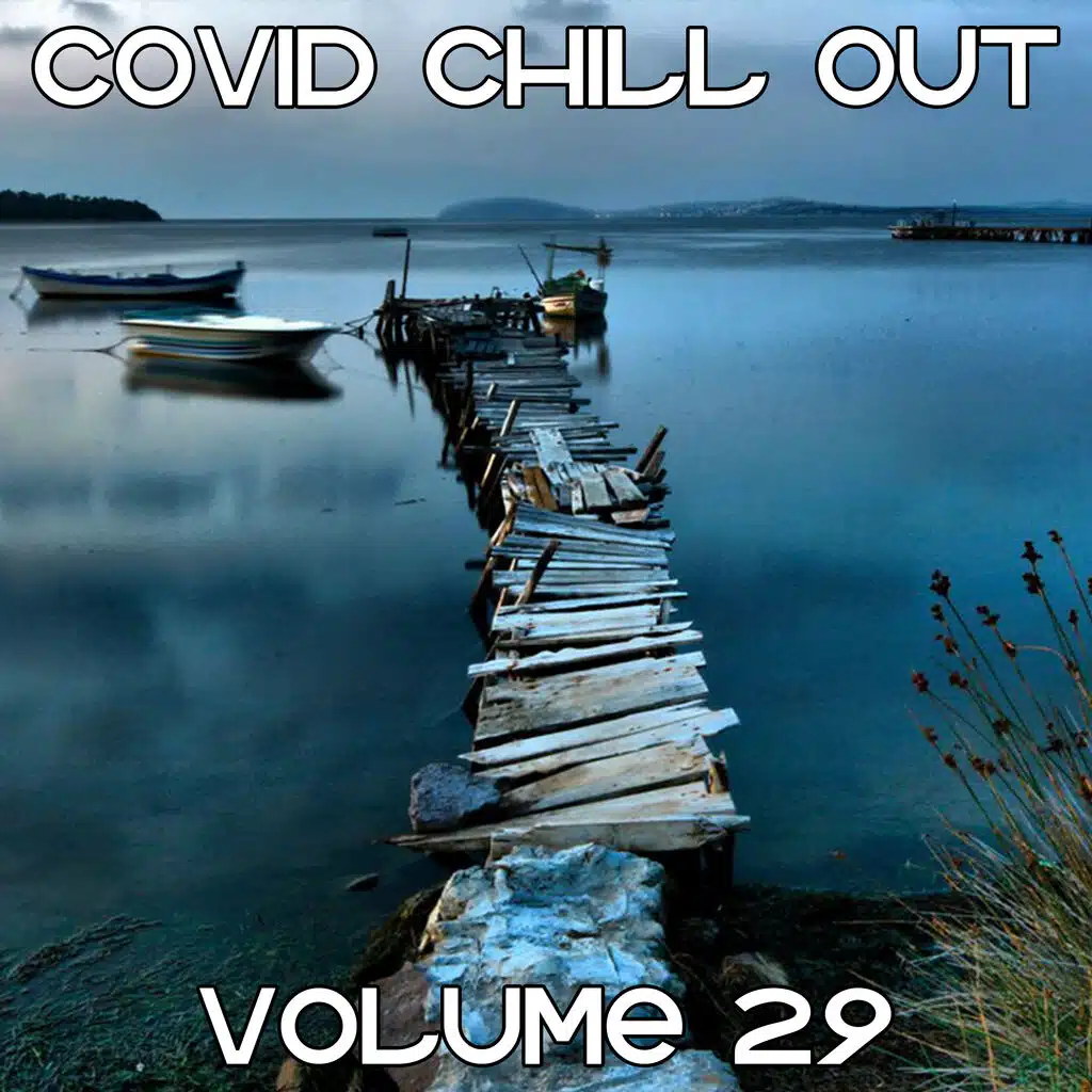Covid Chill Out, Volume 29