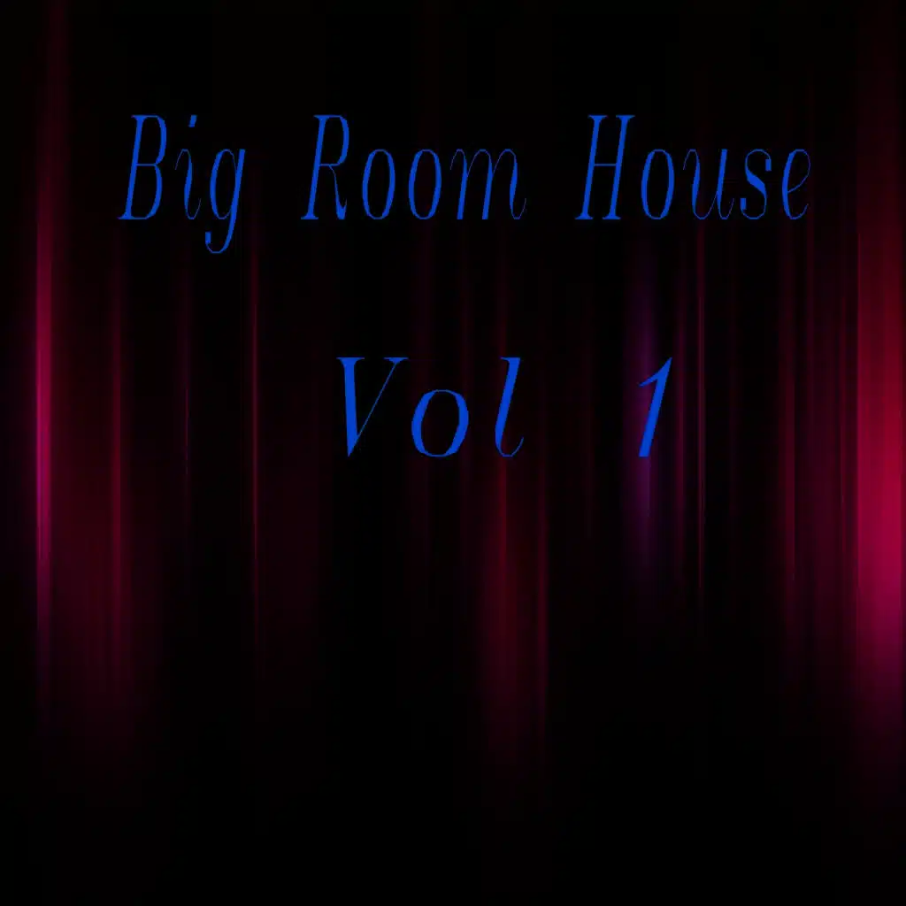 Big Room House, Vol. 1
