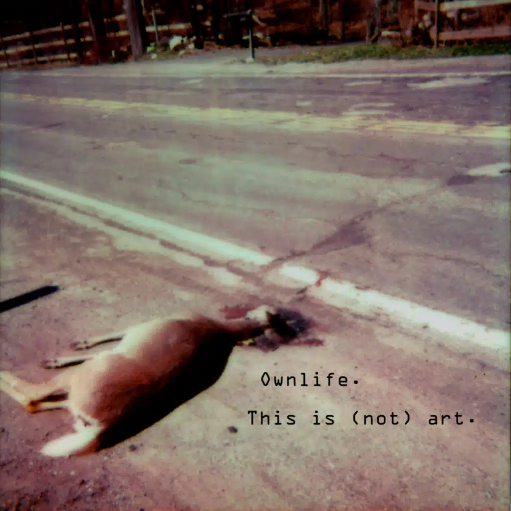This Is (Not) Art