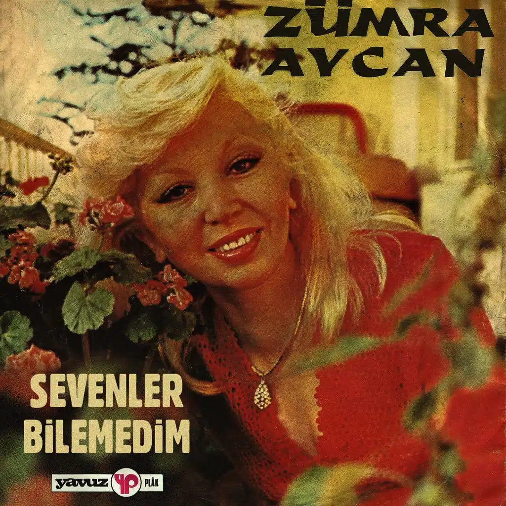Sevenler - Bilemedim