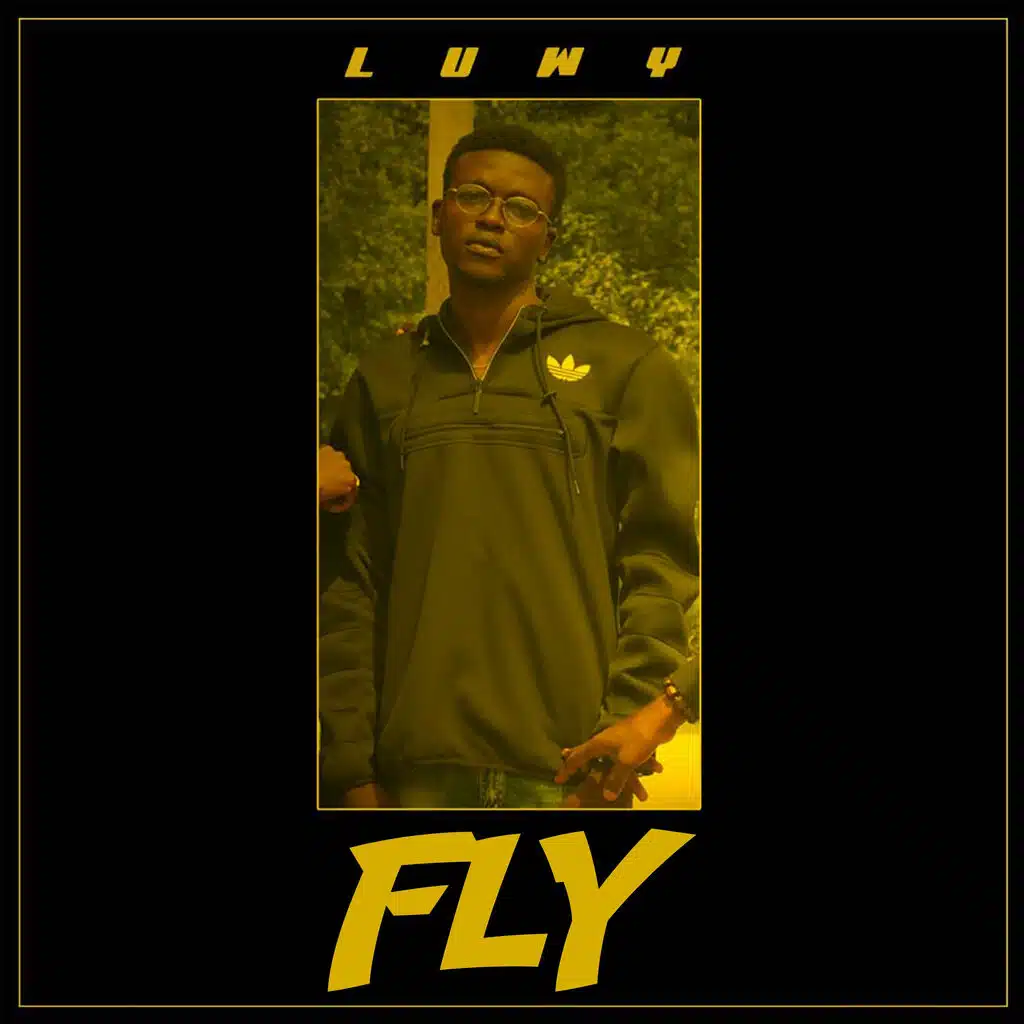 Fly