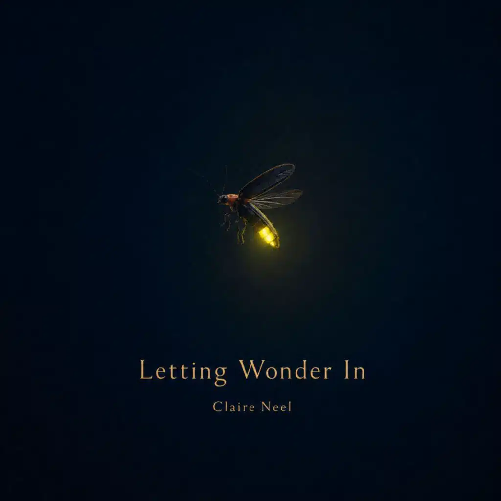 Letting Wonder In