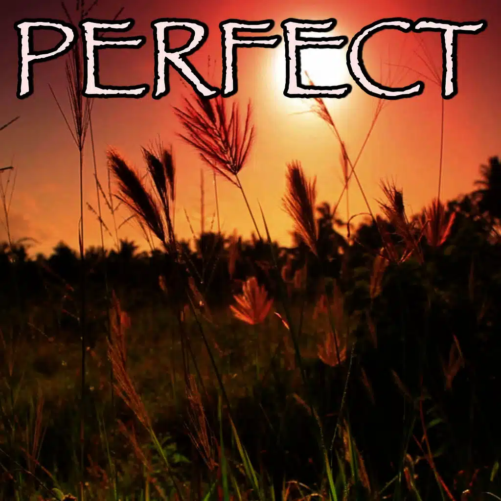 Perfect - Tribute to Ed Sheeran (Instrumental Version)