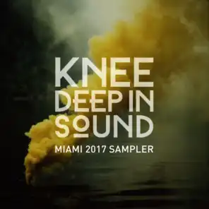 Knee Deep in Sound: Miami 2017 Sampler