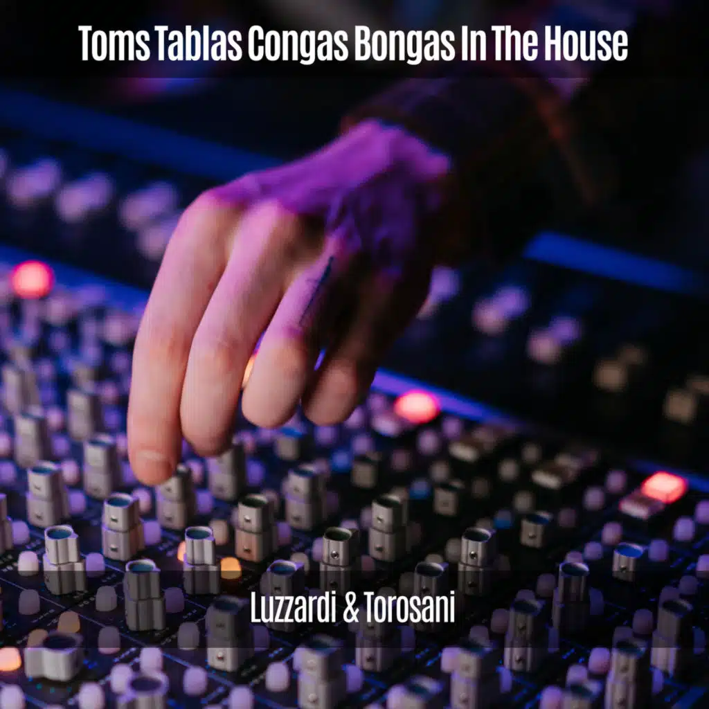 Toms Tablas Congas Bongas in the House