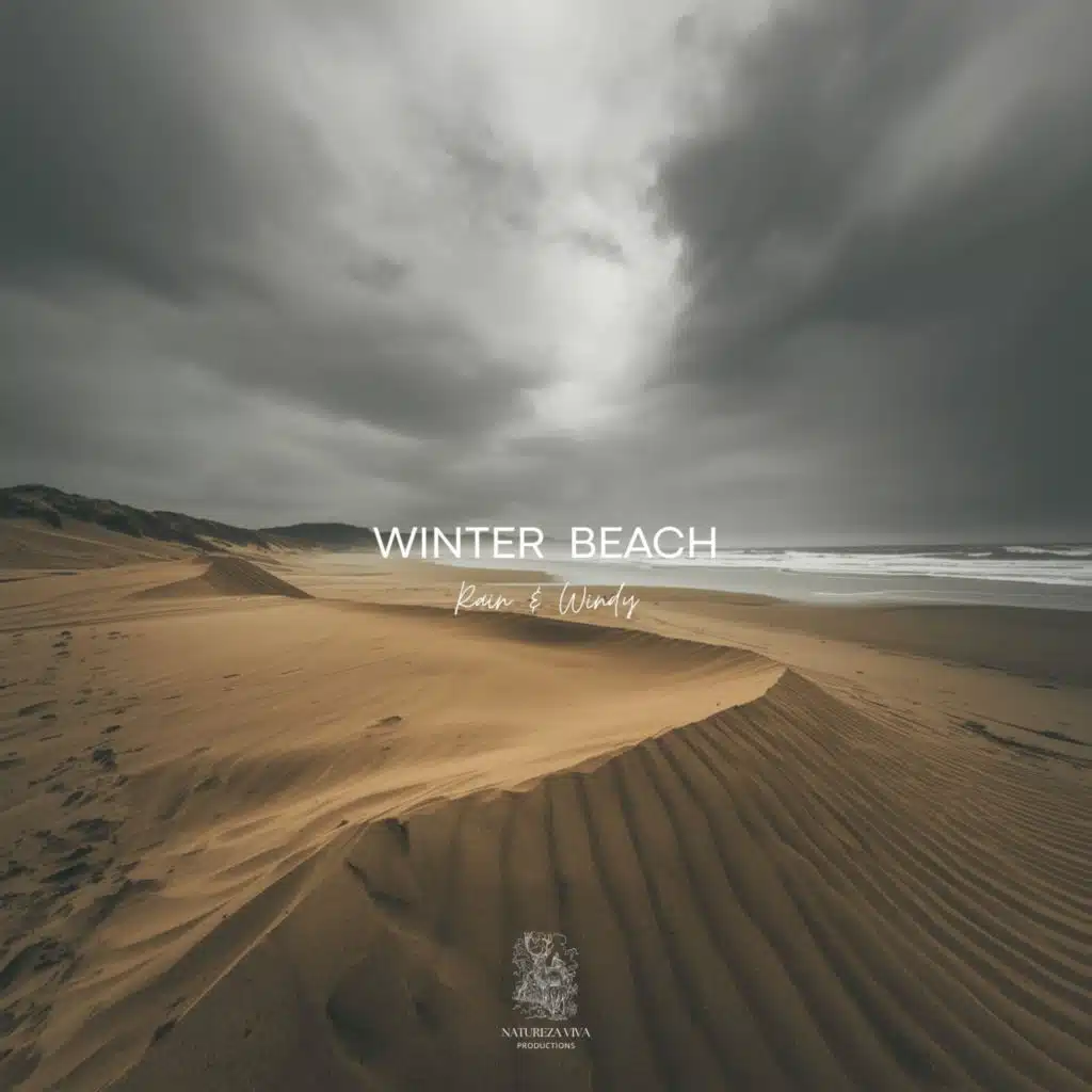 Winter Beach - Rain & Wind