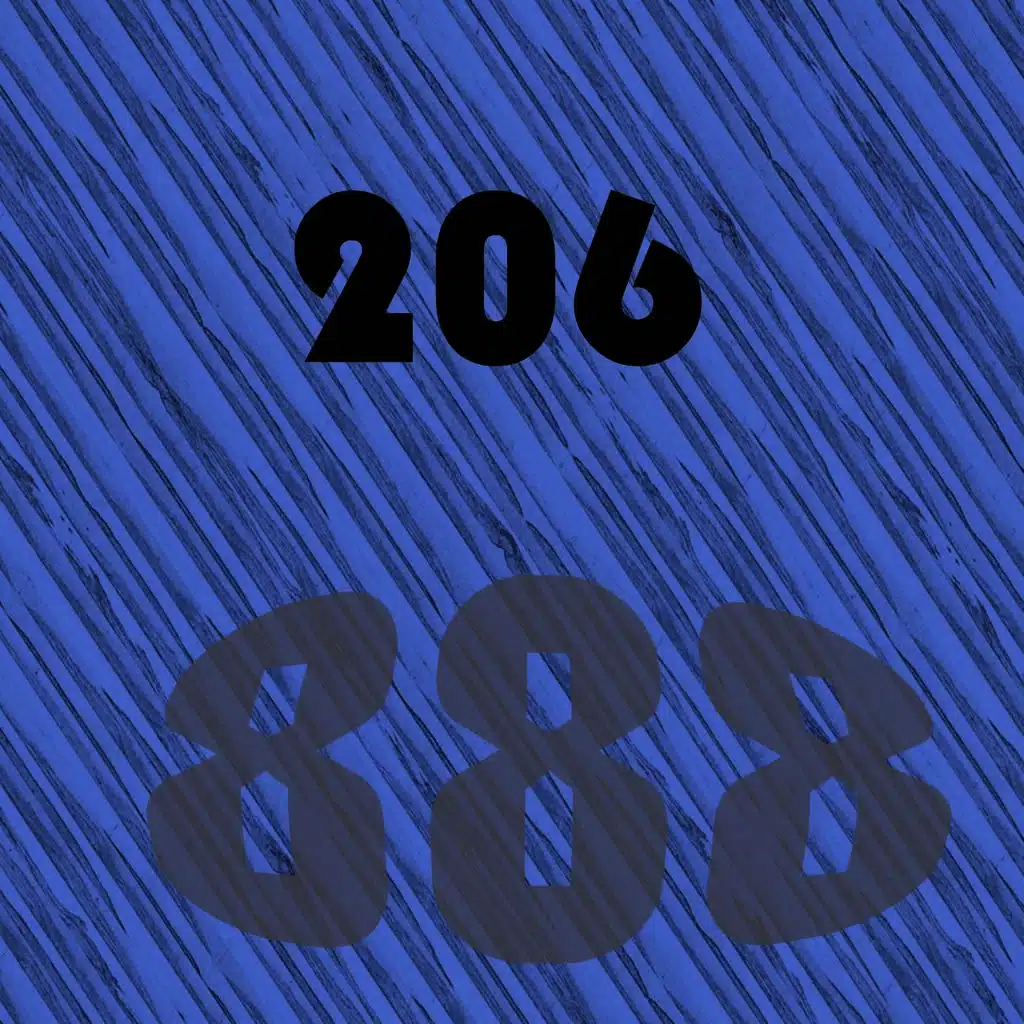 888, Vol.206