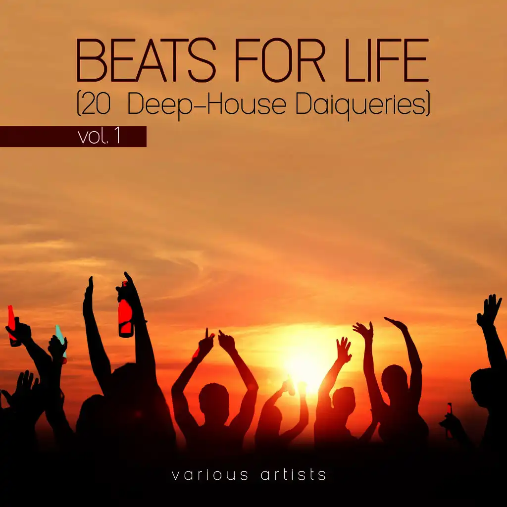 Beats For Life, Vol. 1 (20 Deep-House Daiqueries)