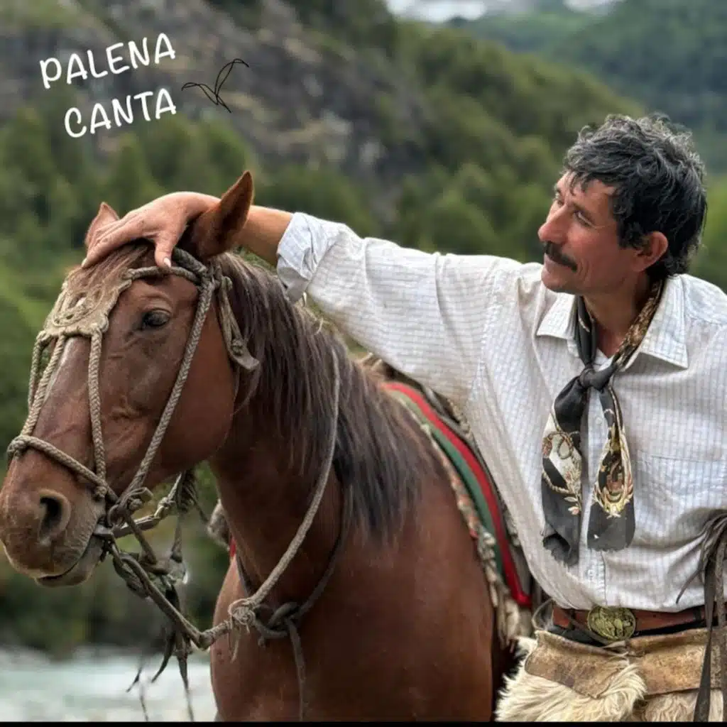 Palena Canta, Vol. II