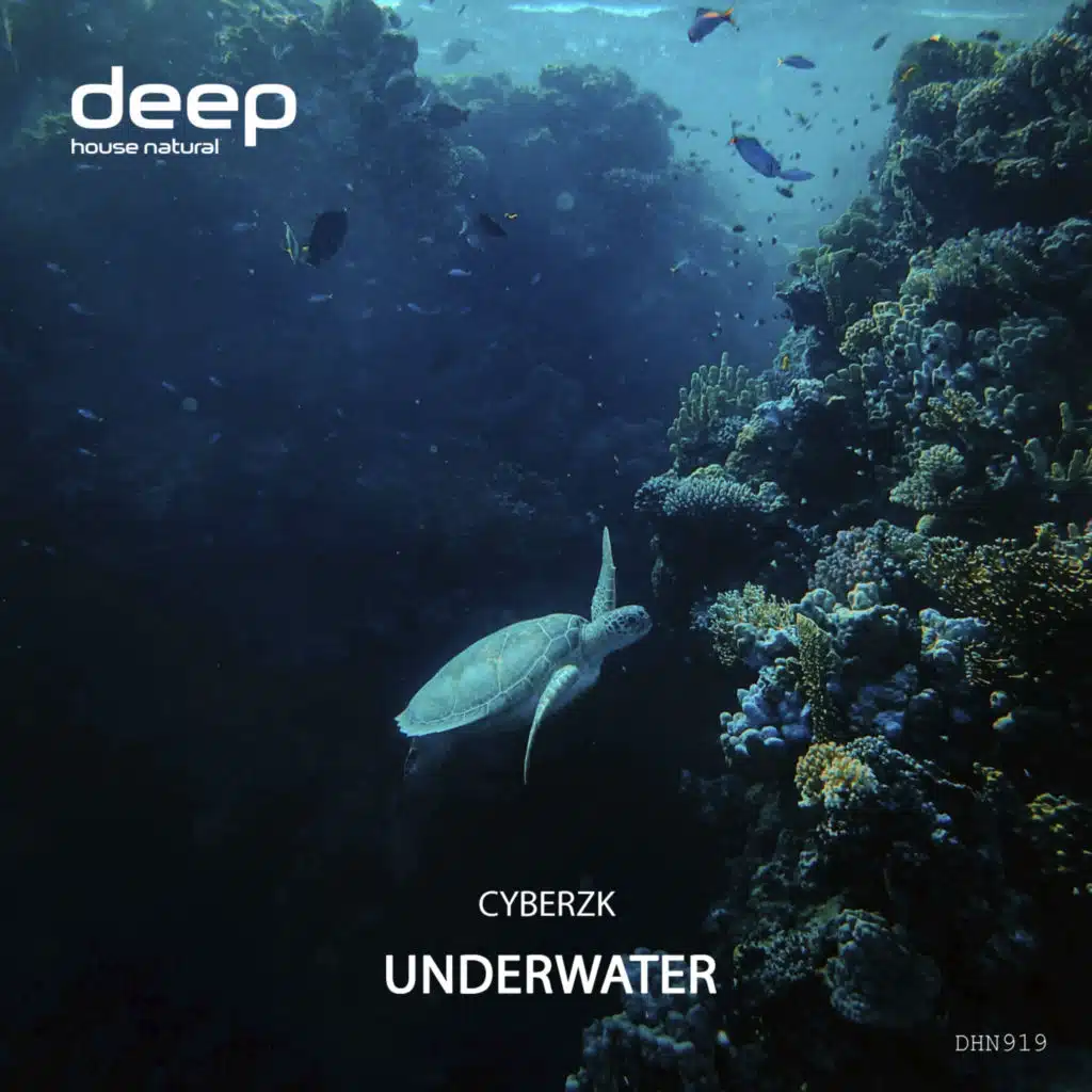Underwater