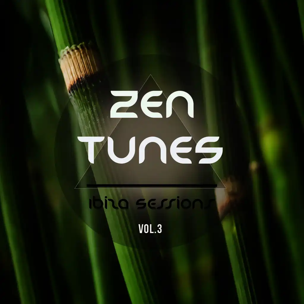 Zen Tunes - Ibiza Sessions, Vol. 3 (Best Of Balearic Relaxation Music For Balance & Meditation)