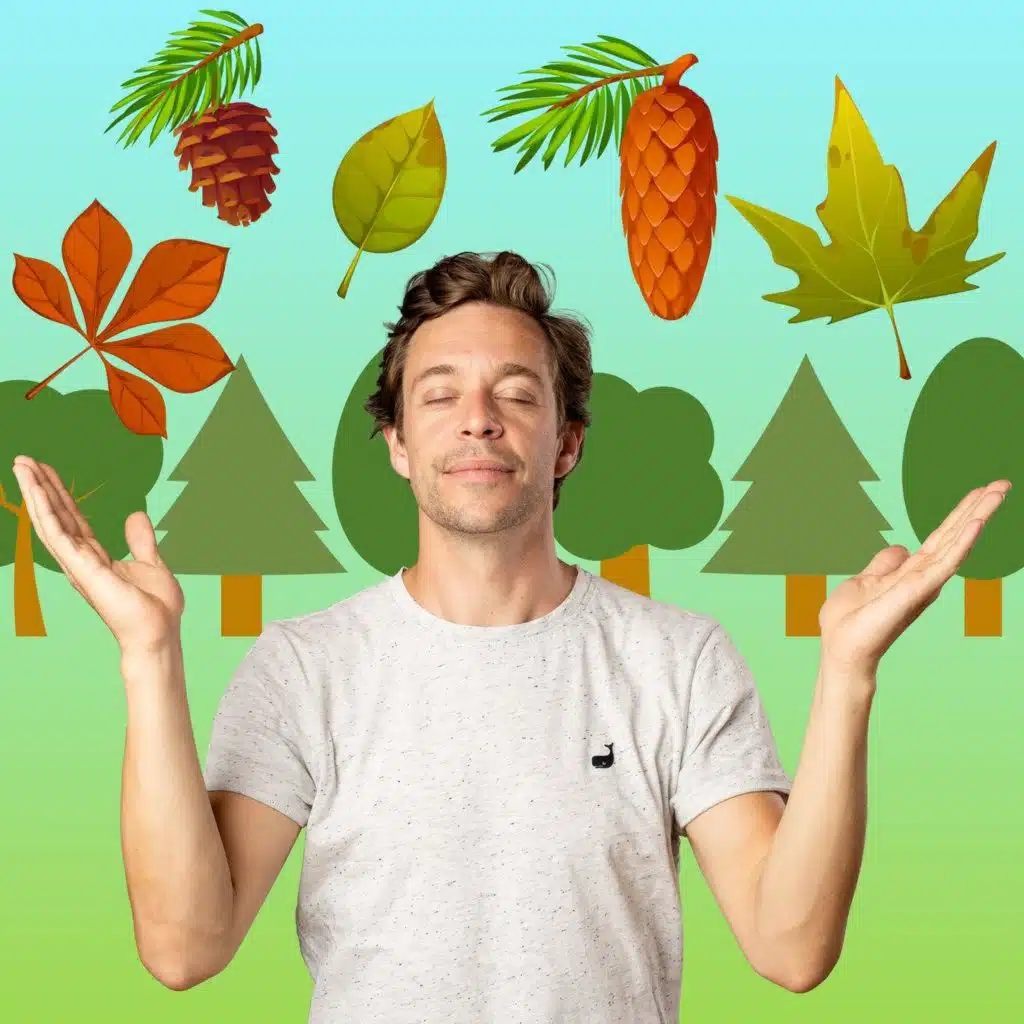 CheckPod Klassiker: Bäume | Über Bonsais und Mammutbäume