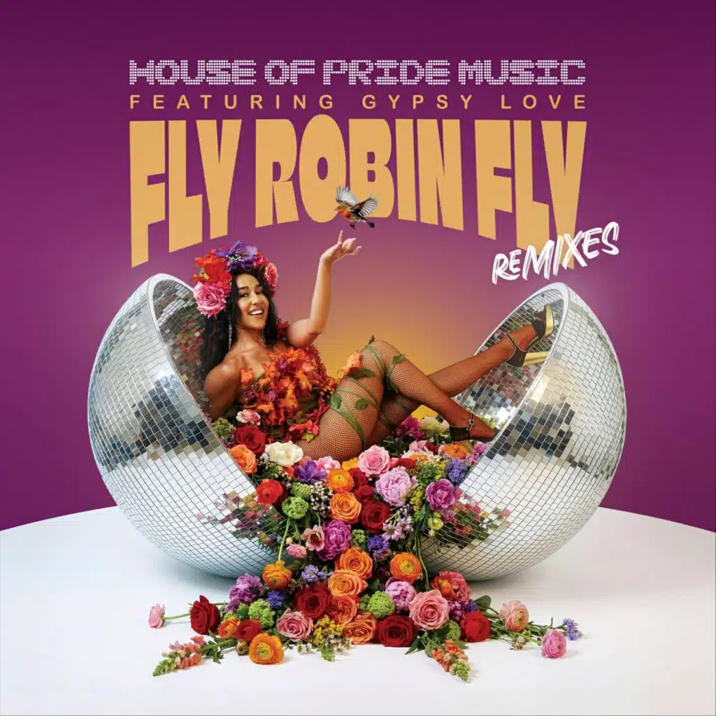 Fly Robin Fly Remixes