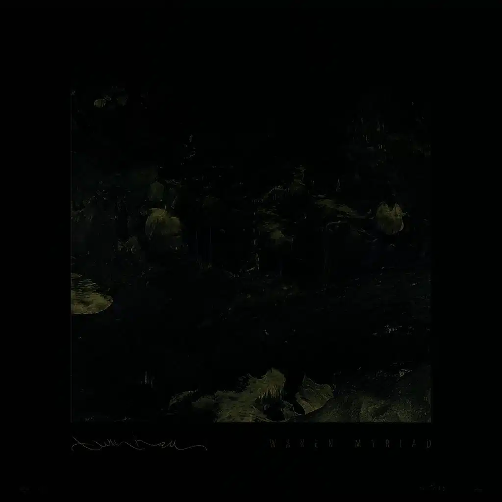 Waxen Myriad