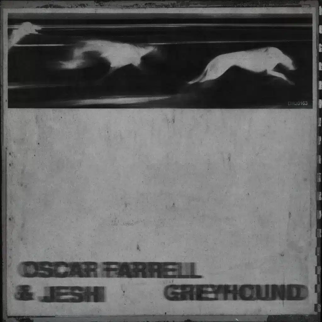 Greyhound