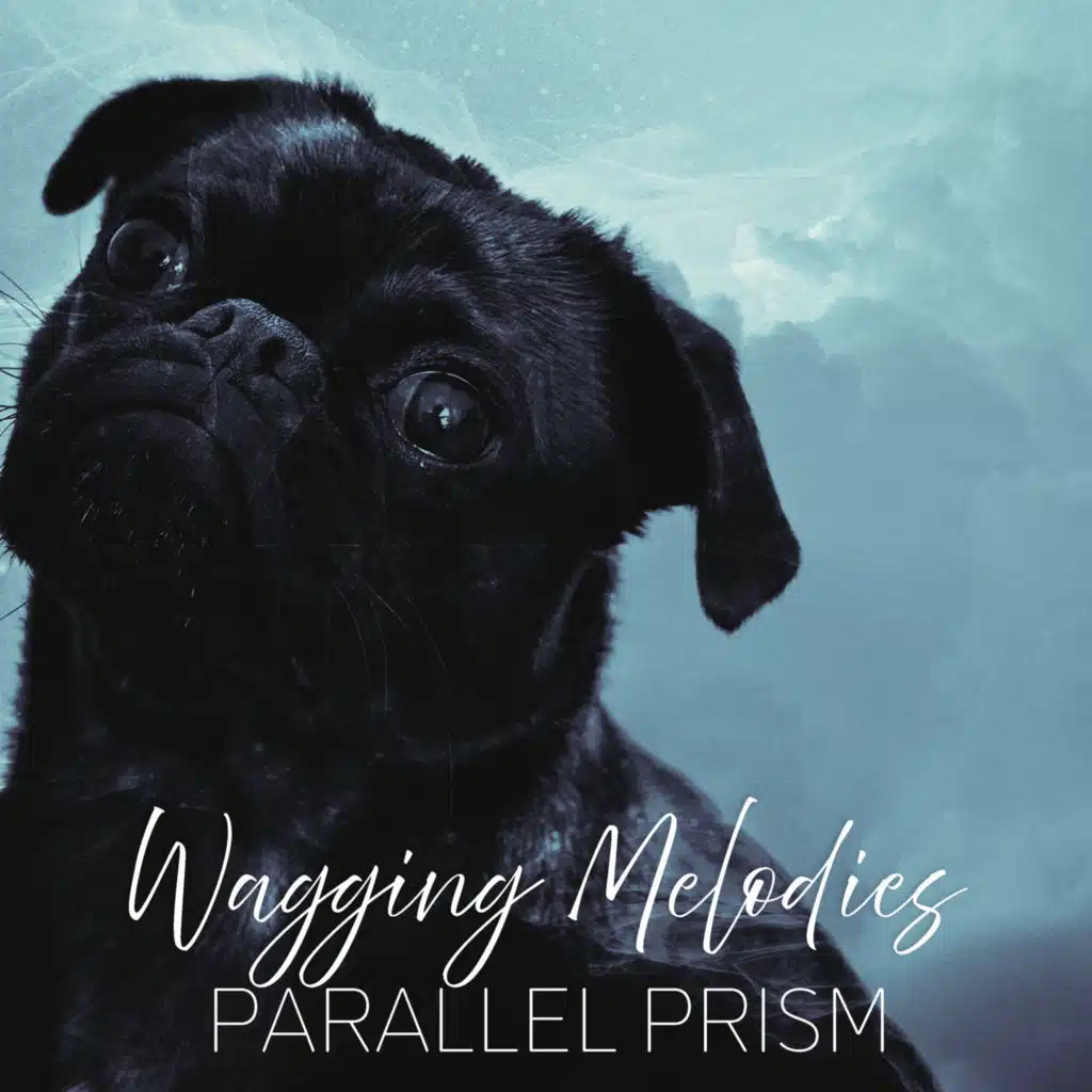 Wagging Melodies