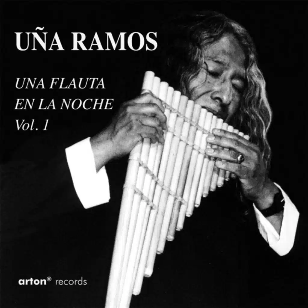 Una Flauta en la Noche, Vol. 1 (feat. Bruno Pauvarel)