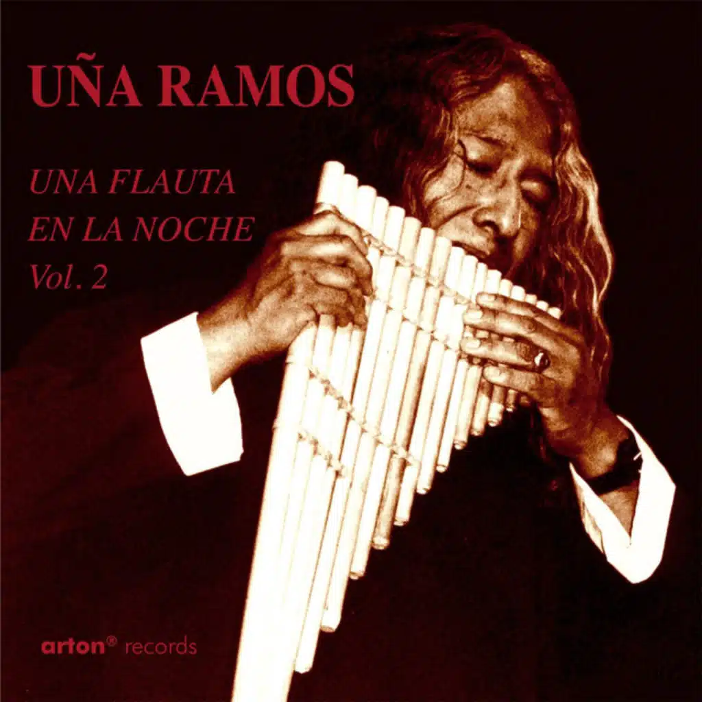 Una Flauta en la Noche, Vol. 2 (feat. Bruno Pauvarel)