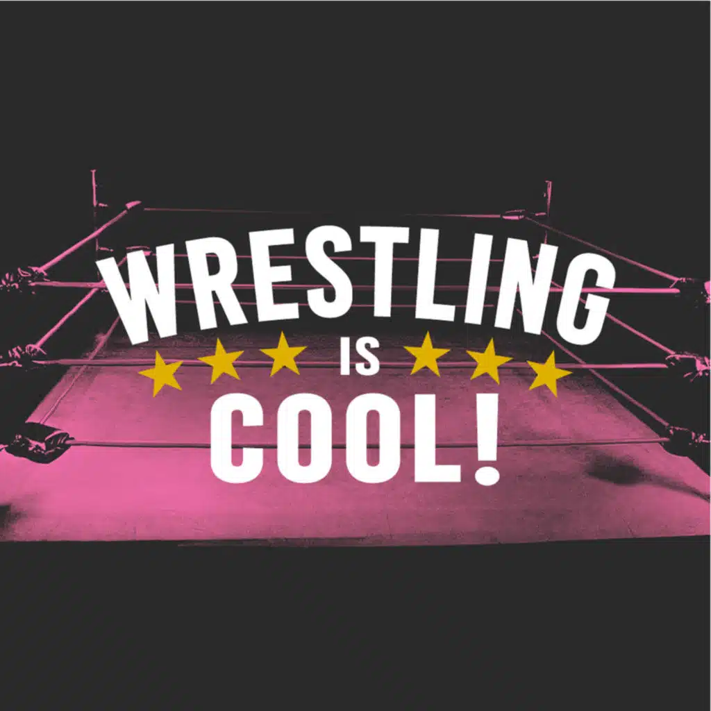  SUMMERSLAM IS OVER...NOW WHAT? - Wrestling is Cool! Podcast