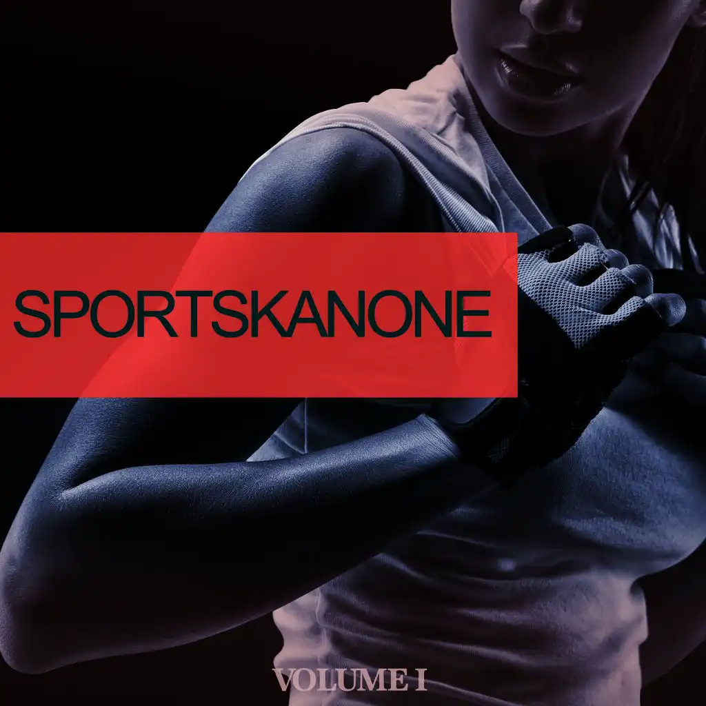 Sportskanone, Vol. 1 (25 Dance Bangers To Make You Sweat)