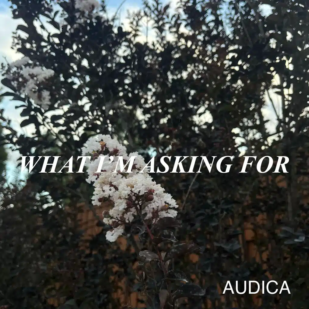 What I'm Asking For