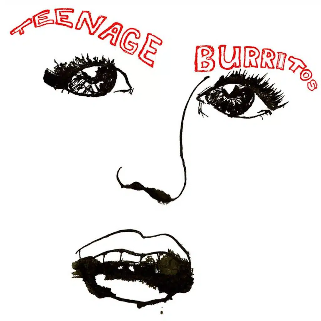 Teenage Burritos