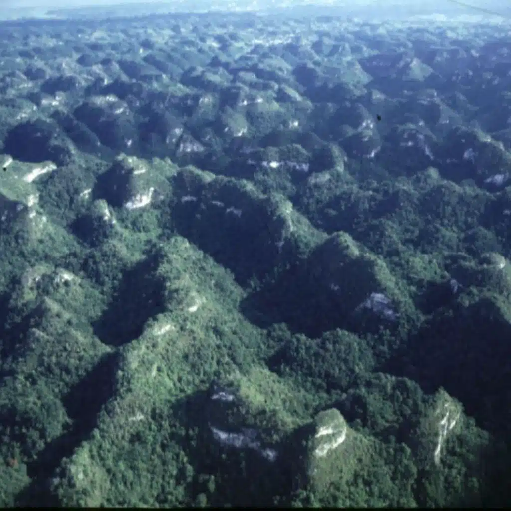 Ep. 590 - The Complex Ecology of Puerto Rico's Forests