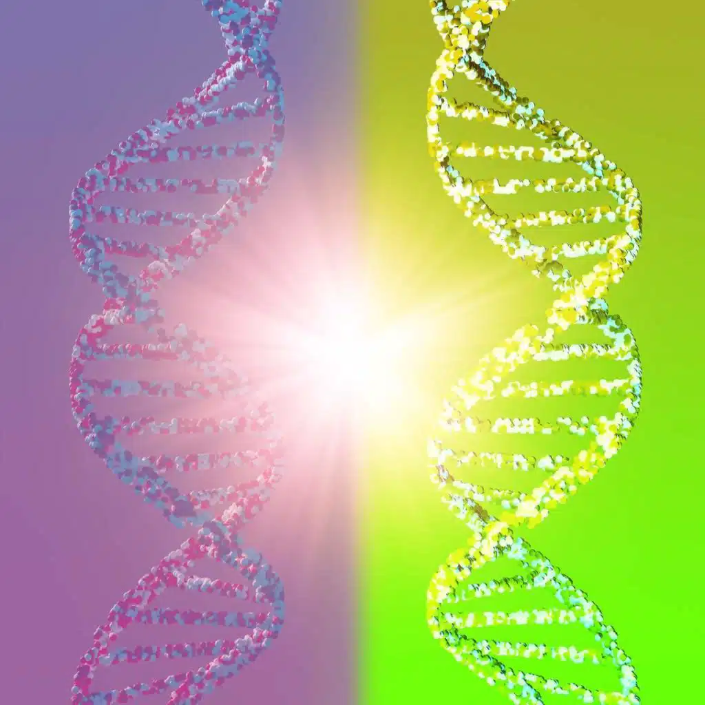 Mirror cells could threaten life on Earth. Why are we building them?