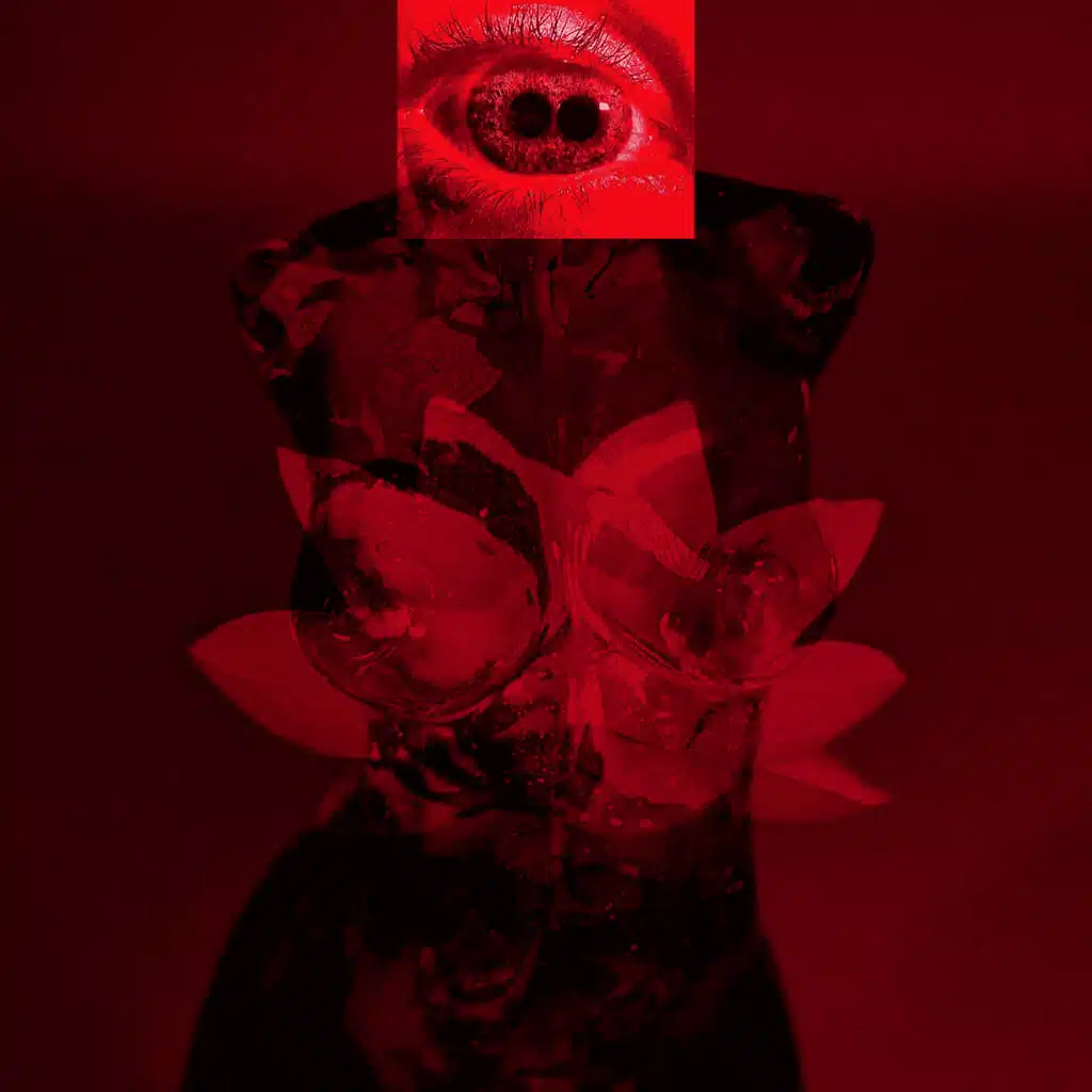 RED TAINTED GLASS